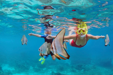 Bali: Snorkling på 2 platser med lunch och transport