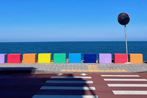 Jeju: Shaun Sheep Farm, Camellia Hill & Aewol Coast Tour