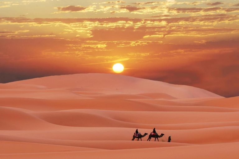 Qatar : Morning or Afternoon Desert Safari