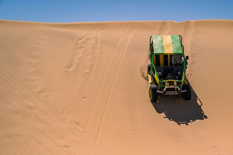 Lima : Excursion d&#039;une journée à Ballestas et Huacachina avec vol sur les lignes de Nazca