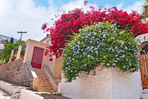 Hydra Island: Full Day Trip From Nafplio with Swimming