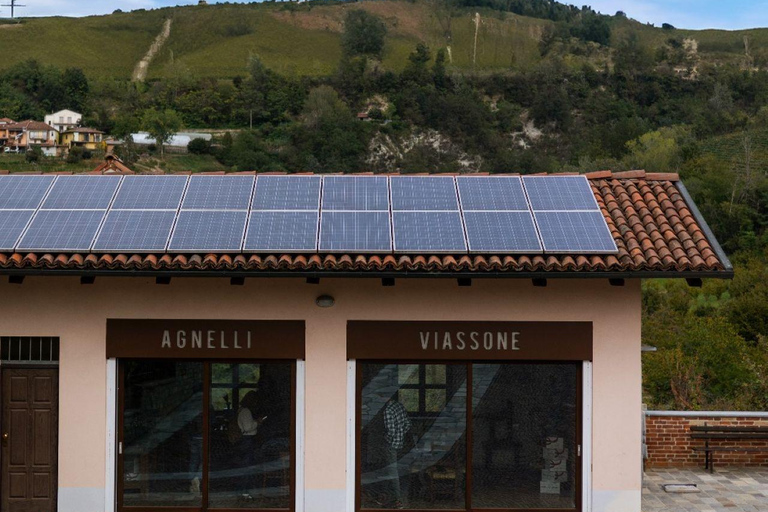 Alba (Grinzane Cavour): Vineyard, Winery, and Tasting Tour Full tour and tasting of 4 wines - Alba near Grinzane Cavour