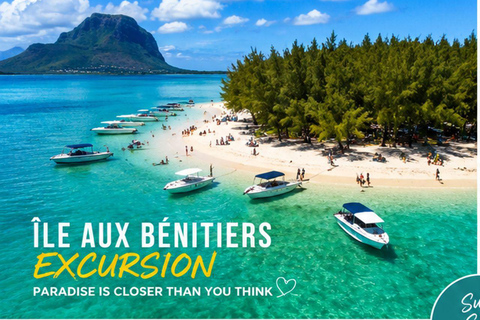 Mauritius: Île aux Bénitiers Dolphin watching All Inclusive Île aux Bénitiers - All Inclusive – Shared Navette Transfer