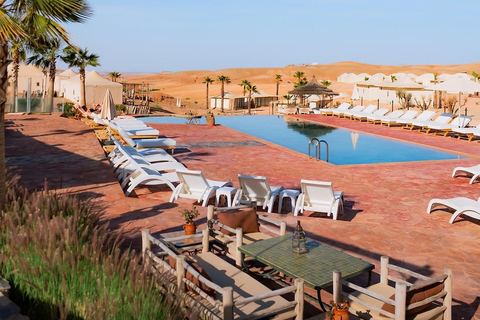 Marrakech: Agafay Desert Quad & Camel Rides with Dinner Show