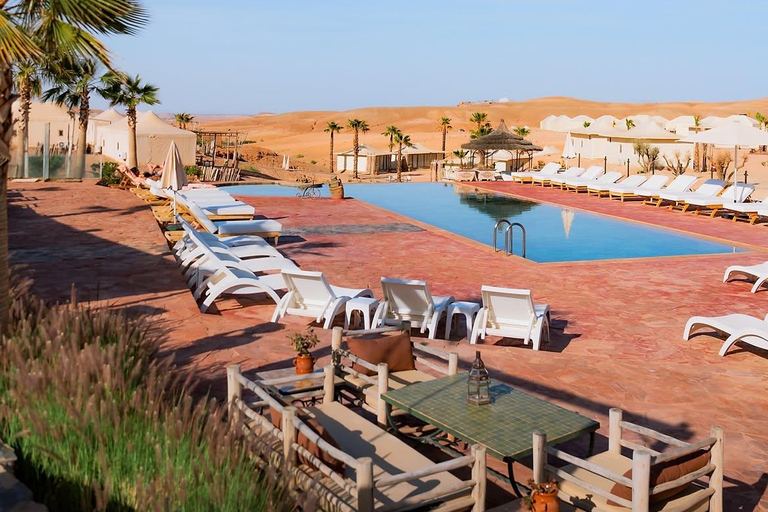 Marrakech: Agafay Desert Quad & Camel Rides with Dinner Show