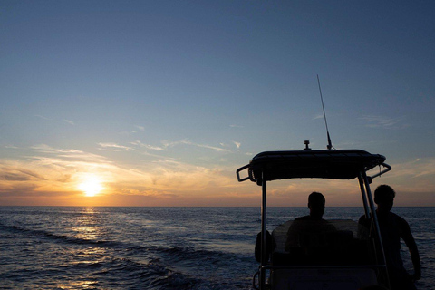 The Grand Tour of the Gulf: From the calanques to the Scandola Nature Reserve The Grand Tour of the Gulf: From the Calanques to the Scandola Nature Reserve