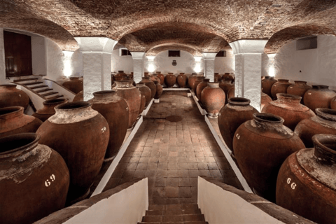 Reguengos de Monsaraz: José de Sousa Winery Tour and Tasting Reguengos de Monsaraz: José de Sousa Winery Tour and Tasting