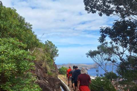 Madère : Promenade Caniçal Levada avec dégustation de Poncha