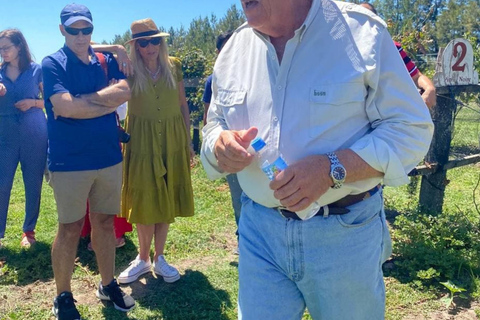 Genieße ein ländliches Erlebnis auf einem Weingut in der Nähe von Buenos Aires