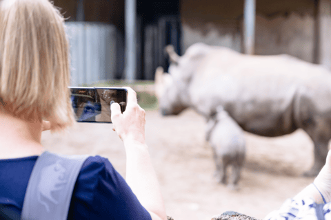 Bilet jednodniowy do zoo w Schwerinie