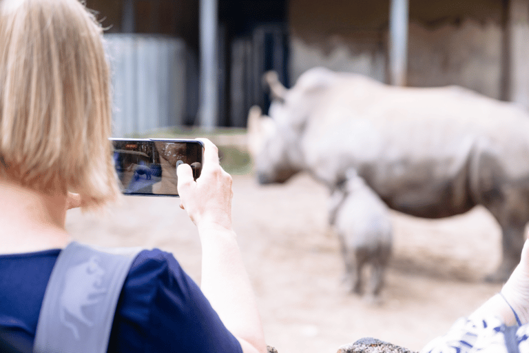 Bilet jednodniowy do zoo w Schwerinie