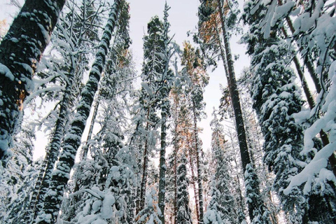 Levi: Snowshoe Survival Experience