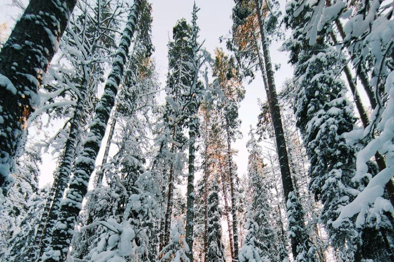 Levi: Snowshoe Survival Experience