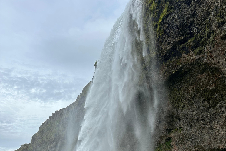 South Coast Private Tour, Waterfalls & Black Sand Beach Reykjavik: South Coast Private Tour with Waterfalls