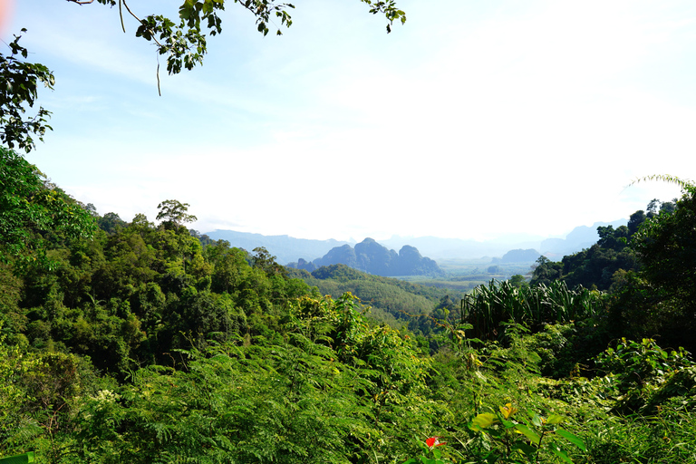 Khao Sok - Culture & Nature, Day Trip Khao Sok - Culture & Nature, Day Trip