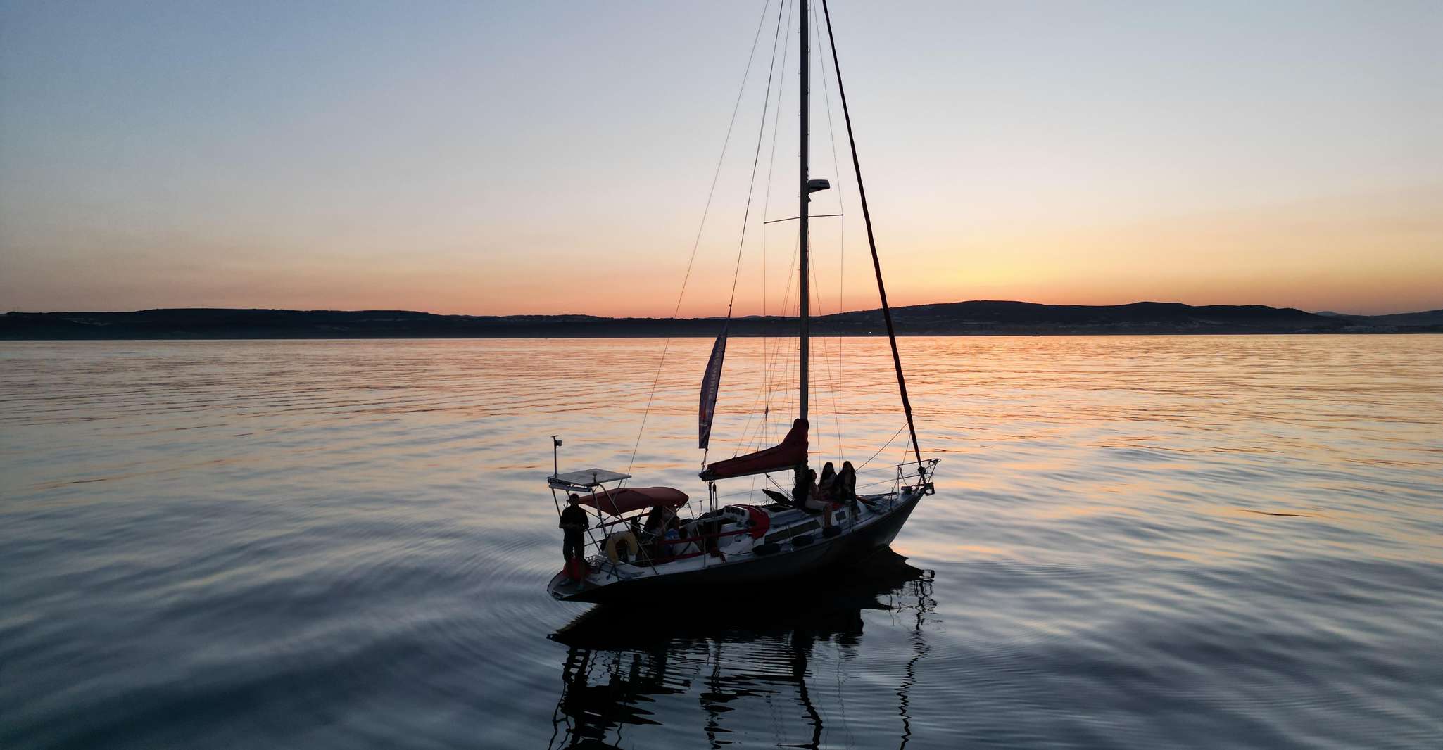 Sotogrande: Dolphin Watching Boat Trip with Drink photo 6