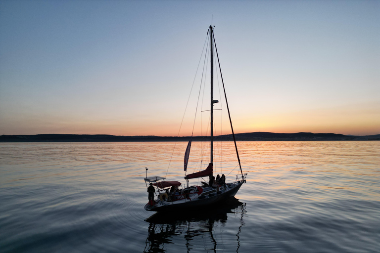 Sotogrande: passeio de barco para observação de golfinhos com bebida