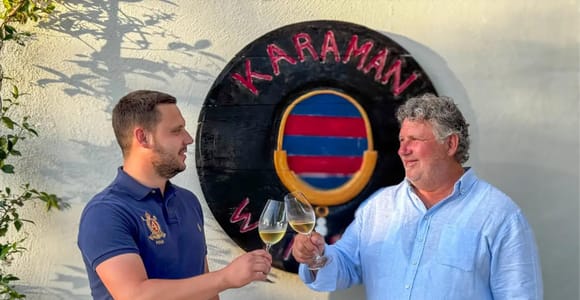 Dubrovnik: Vineyard Tour and Wine Tasting with Cake
