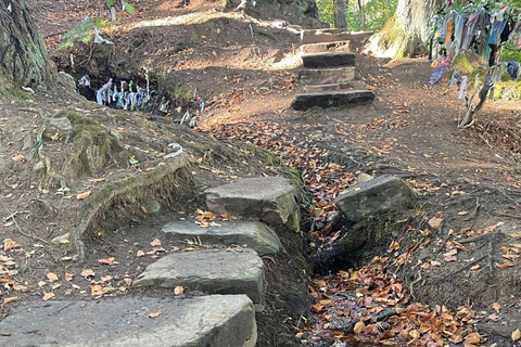 Da Inverness: tour della Black Isle con avvistamento dei delfini