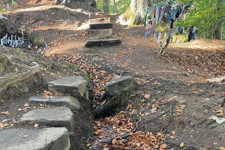 Da Inverness: tour della Black Isle con avvistamento dei delfini