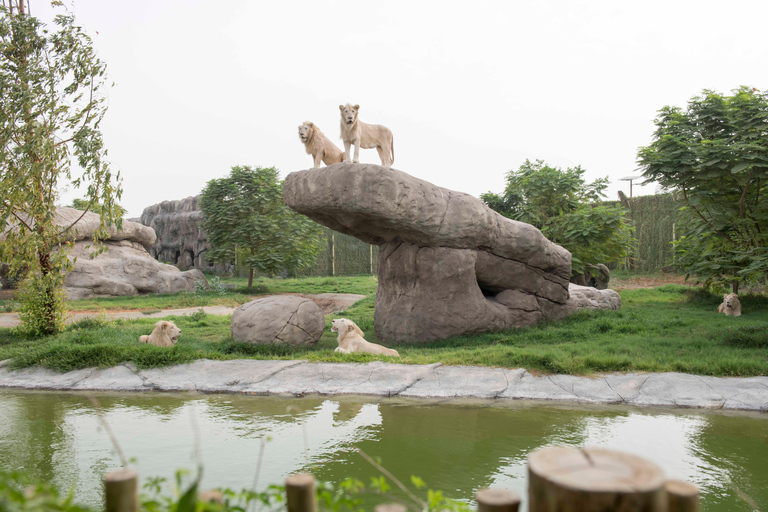 Dubai: Dubai Safari Park Entry PassSafari Park Pass