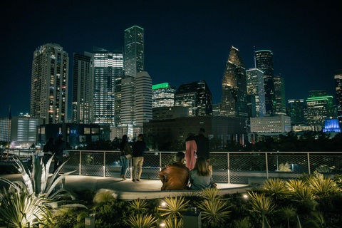 Houston: Night Tour with Rooftop Park Entry