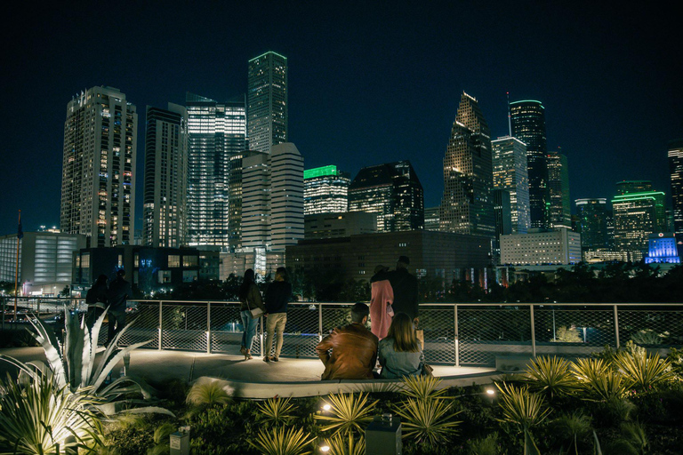 Houston: Night Tour with Rooftop Park Entry