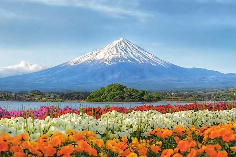 Wycieczka na górę Fuji: jezioro Kawaguchi, świątynia, wioska uzdrowiskowa i pagoda8:00 Wyjazd z Tokio – lunch w stylu japońskim