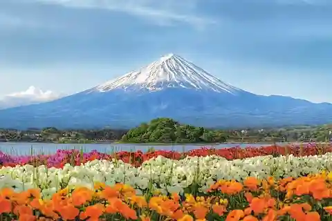 Mt Fuji Tour: Lake Kawaguchi, Shrine,Healing Village &Pagoda