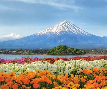 Mt Fuji Tour: Lake Kawaguchi, Shrine,Healing Village &Pagoda