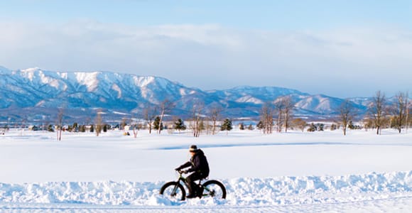 Depuis Sapporo : Otaru, Shiroi Koibito Park et parc de neige