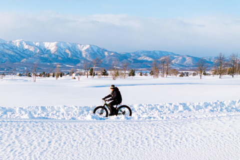 Hokkaido tour❘Otaru,ShiroiKoibito Park,SnowLand from Sapporo Sapporo TV Tower Departure A Otaru Shopping Street