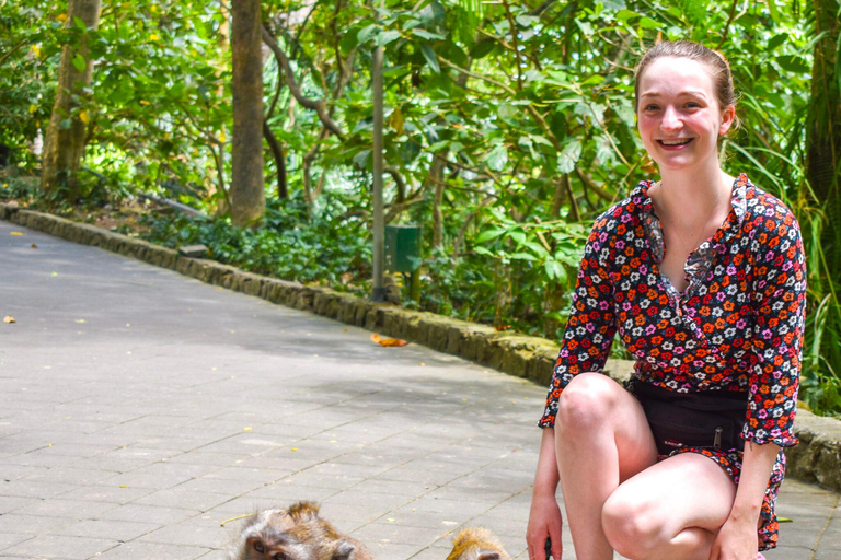 Ubud : Waterfall, Monkey Forest, Rice Terrace and Temple Private Tour With Entry Tickets