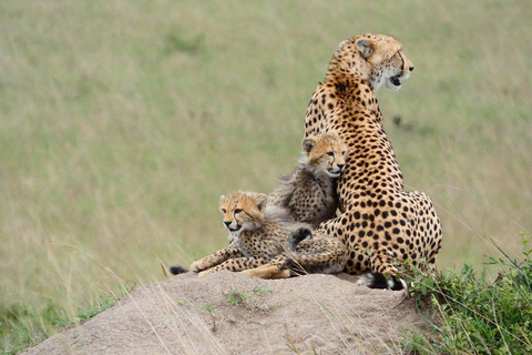 Nairobi: 3-Day Lake Nakuru, Hell’s Gate & Naivasha Safari