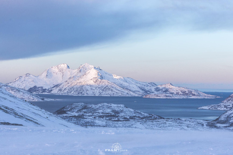 Arctic hike on the island of Kvaløya with drinks and snacks