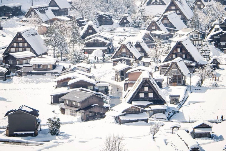 From Kanazawa: Shirakawa-go and Takayama Private Day Trip