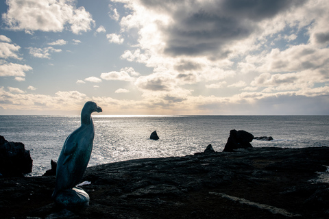 Reykjavík: Vulkanausbruchstelle und Geothermie-WanderungTour mit Abholung an ausgewählten Orten