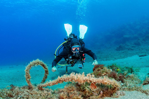 Your first introductory dive in Lanzarote with FREE photos. Your first diving baptism in Lanzarote with FREE photos