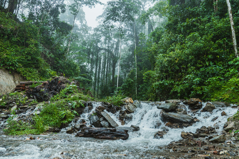 Goyave: Jungle & River Horseback Riding Adventure