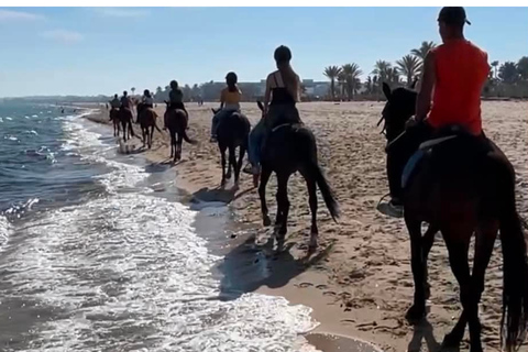 Hammamet equitation : Balade à cheval le long de la plage