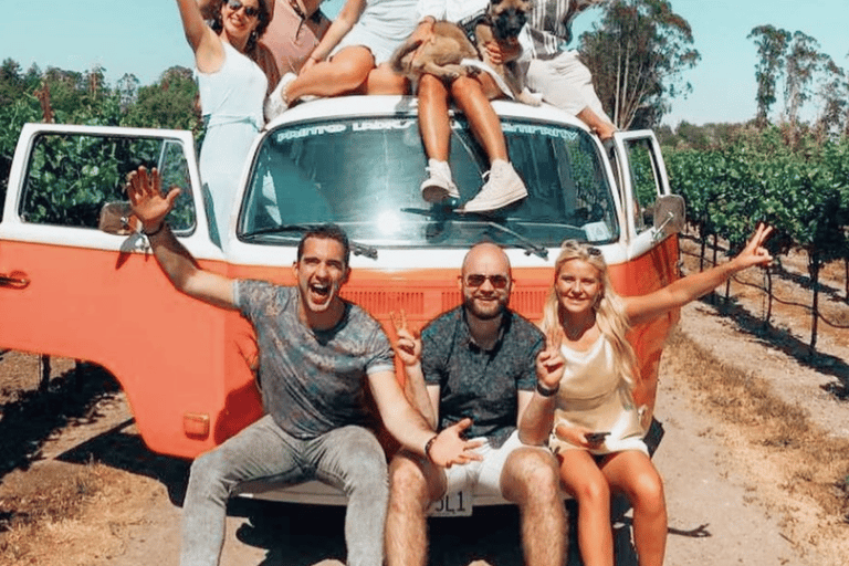 Tour per piccoli gruppi nella regione del vino su un autobus VW d&#039;epocaTour della regione vinicola per piccoli gruppi sull&#039;autobus VW vintage