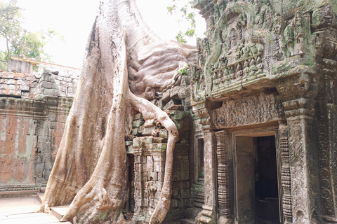 Siem Reap: Angkor Wat and Banteay Srei Temple Day Tour