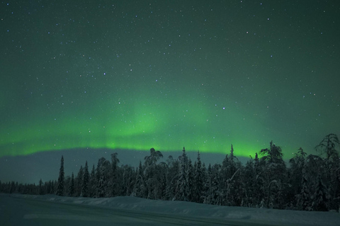 ⭐ Rovaniemi: Northern Lights Chase | Guarantee & Photos