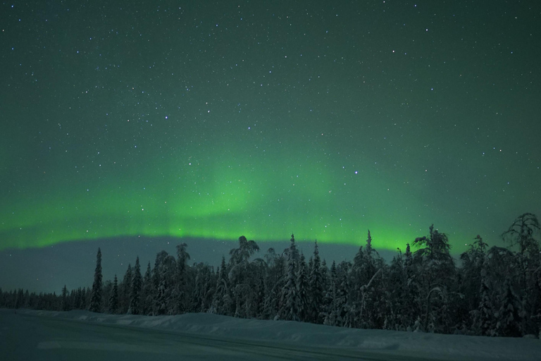 ⭐ Rovaniemi: Northern Lights Chase | Guarantee & Photos