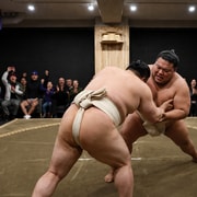 Tokyo: Shibuya Sumo Show with Experience & Photo