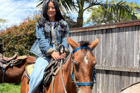 2-hour horseback riding + Private transportation + Photos & videos + Gift for the first 5 to book 2-hour horseback ride + private transportation + photos & videos + gift for the first 5 to book.