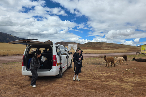 Cusco: Private Inca Ruins & Alpaca Sanctuary Tour