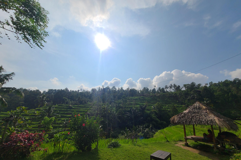 Bali Hidden Trekking, Wasserrutsche, Sekumpul, &amp; Fiji WasserfallAbholung vom Hotel und Rücktransfer zum Hotel inbegriffen