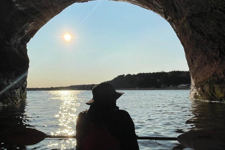 Saint John: Guided Kayaking Tour of St. Martins Sea Caves Sea Caves Half-Day Kayak Tour