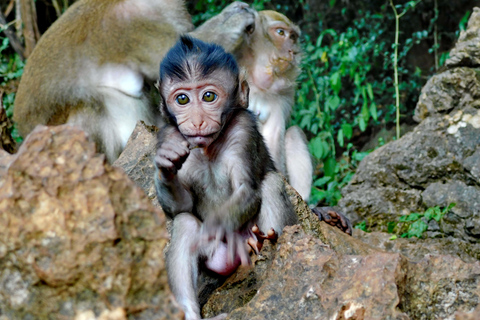 Khao Sok - Culture & Nature, Day Trip Khao Sok - Culture & Nature, Day Trip